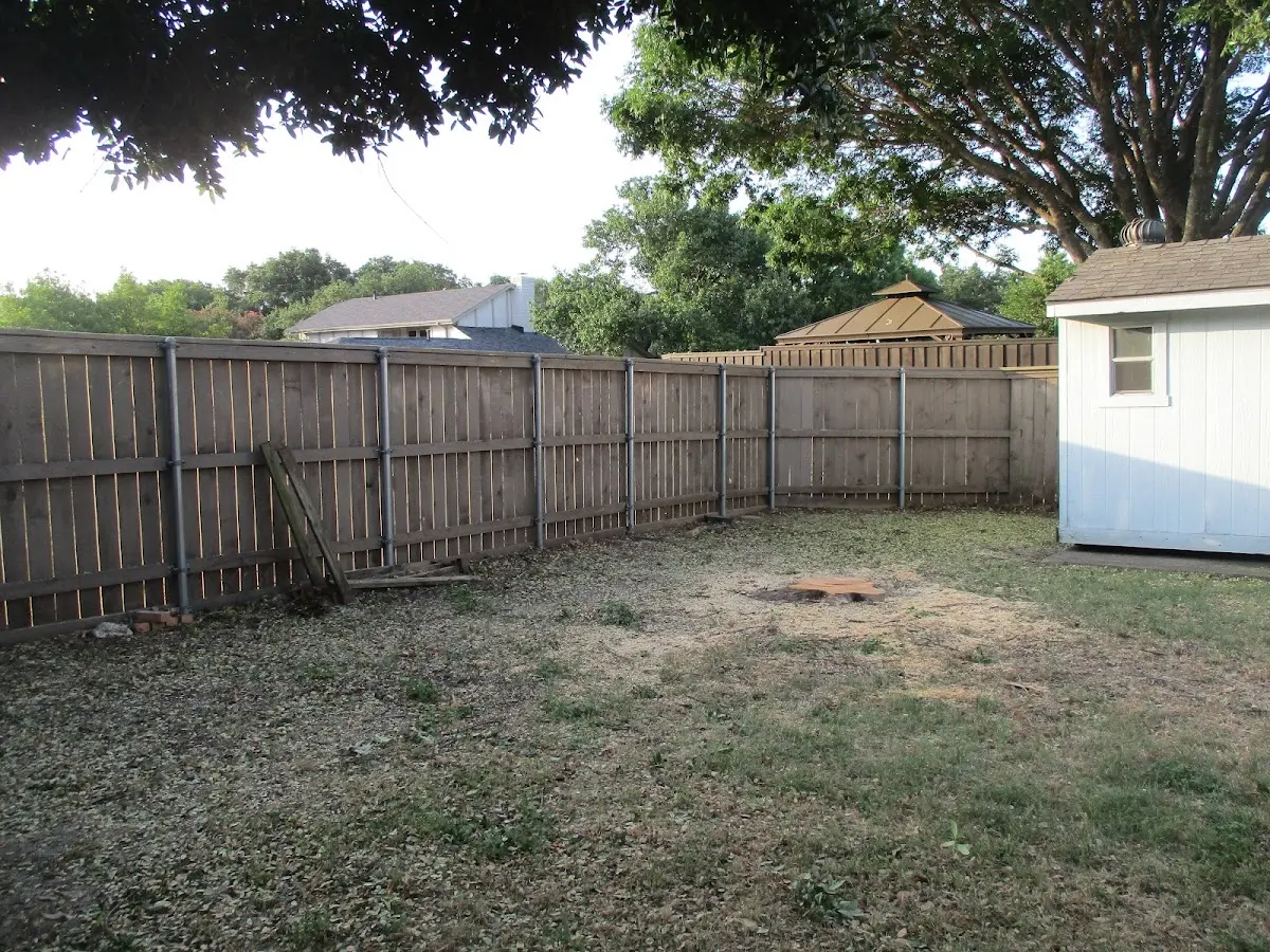 Cleared yard after professional tree removal in Golconda